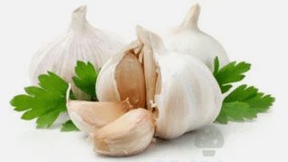 Garlic from the mushroom