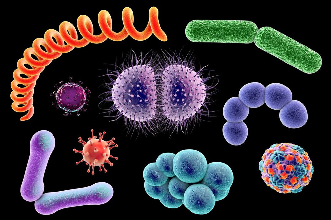 pathogens of fungal diseases